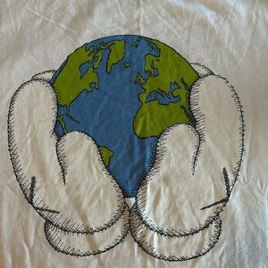 Kaws t-shirt, brand new, never worn dead stock with tags. size XXL